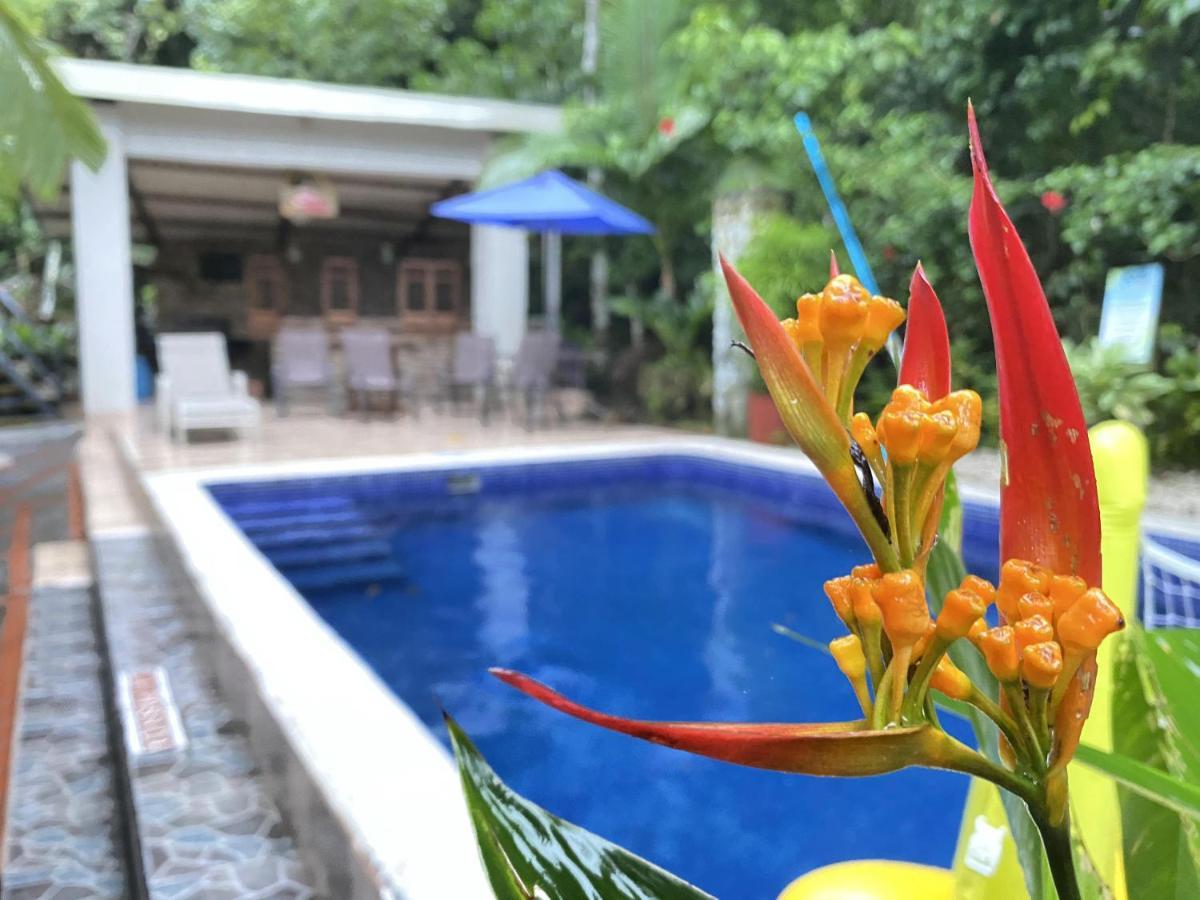 La Posada Jungle Hotel Мануел Антонио Екстериор снимка