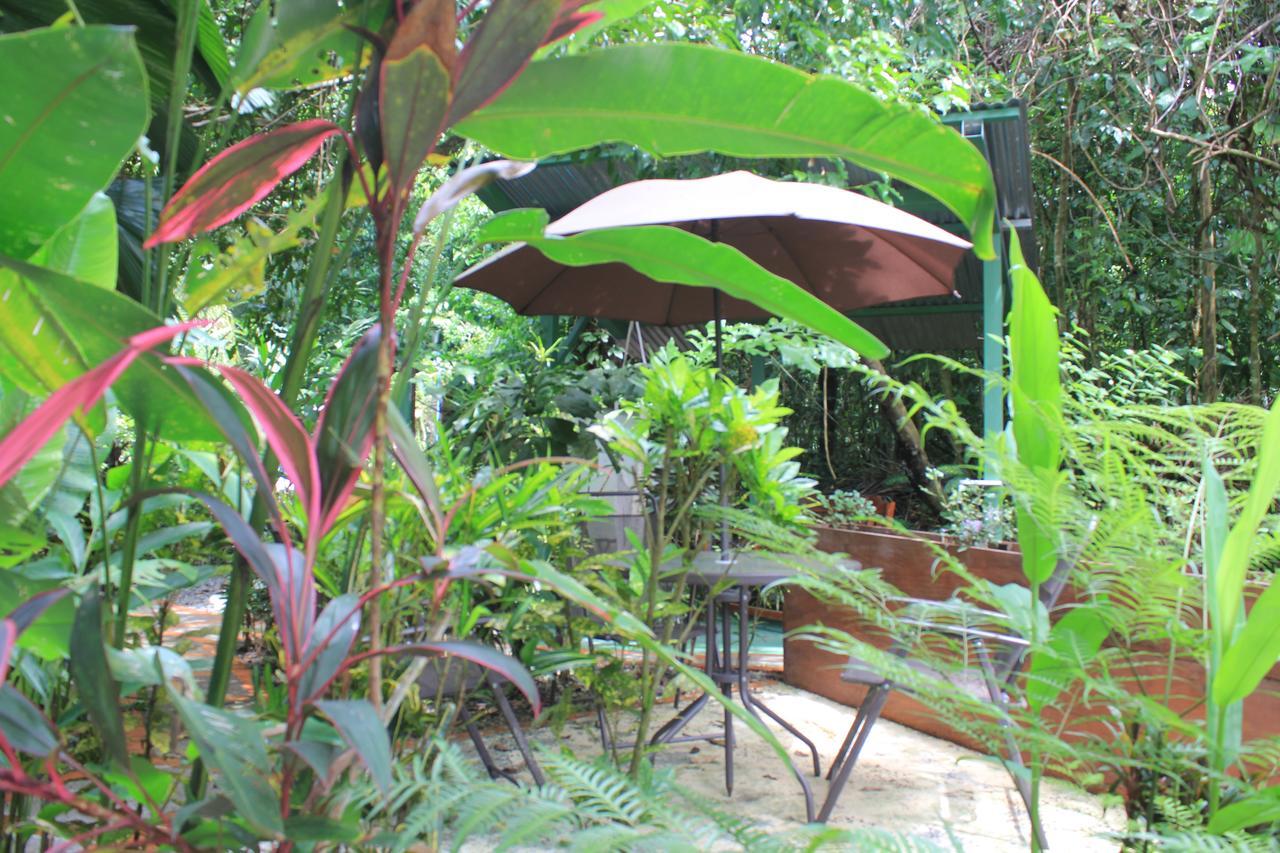 La Posada Jungle Hotel Мануел Антонио Екстериор снимка