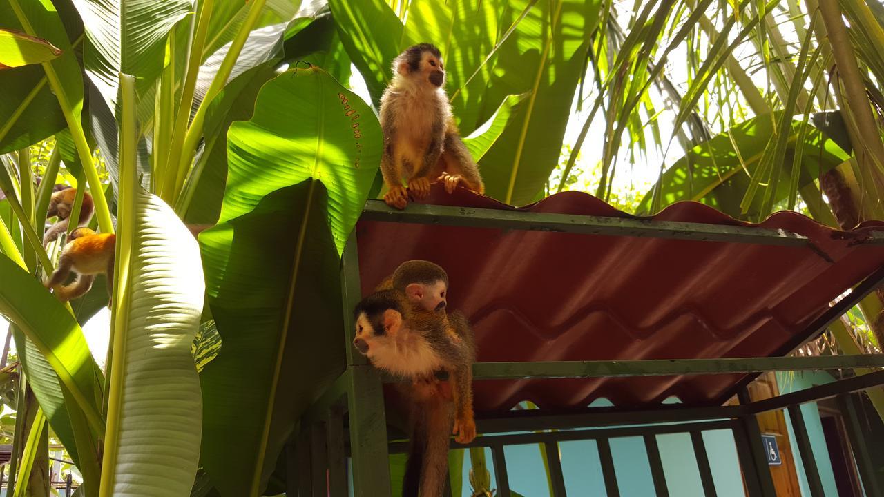 La Posada Jungle Hotel Мануел Антонио Екстериор снимка